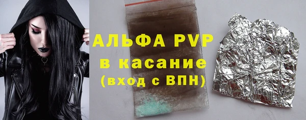 шишки Тавда